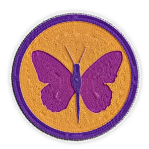metamorphosis merit badge